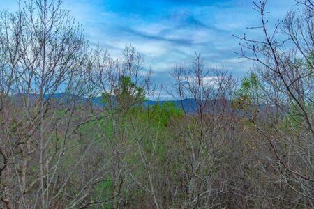 Villa Family Fun-Relax-Mtn View-Game Rm-Hottub Blue Ridge Esterno foto
